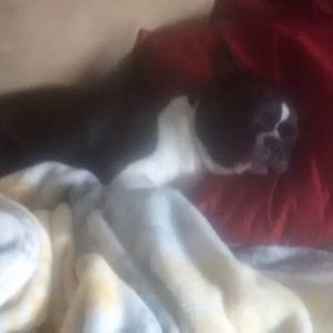 Meet your Posher, Cynthia